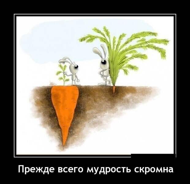 Прикольные демотиваторы