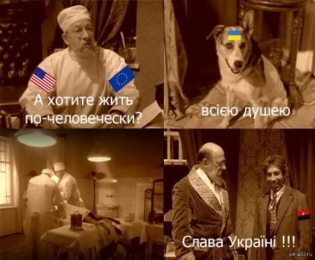 Сочувствуете ли вы детям Донбасса?