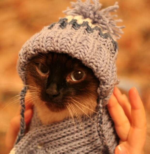 Одевайся теплее на улице холодно картинки