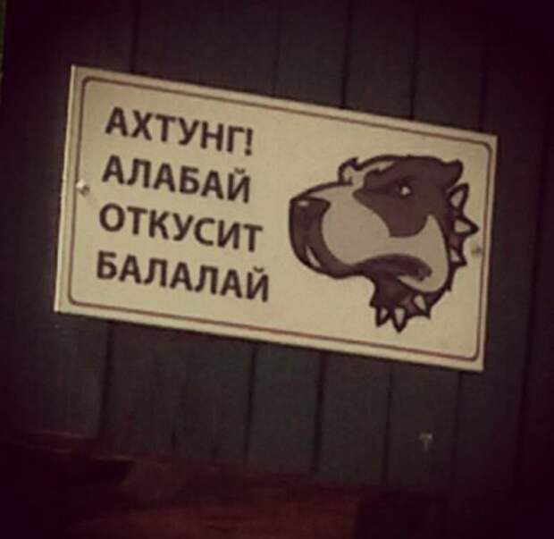 собака откусит балалай