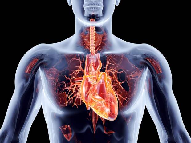 engmedicine.com