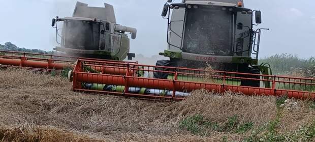 Глава Теучежского района оценил ход жатвы-2025