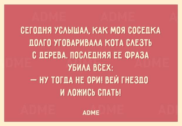 25 открыток о том, что нам не помешает немного пофигизма