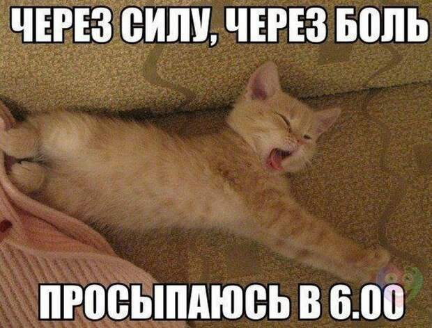 Пост юмора прикол, юмор