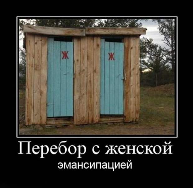 Демотиваторы приколы картинки, заряд отличного настроения!