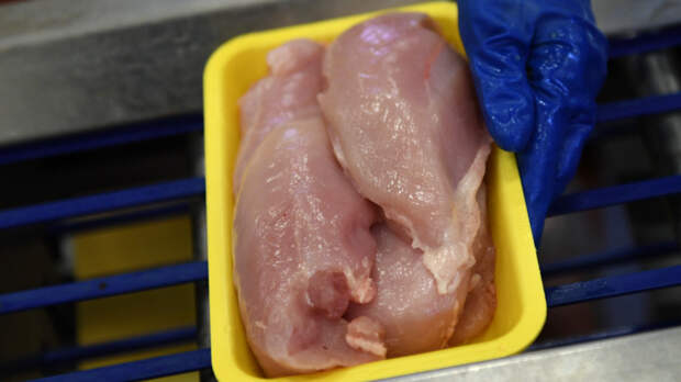 Чем нас кормят: Роскачество проверило куриное мясо 19 торговых марок
