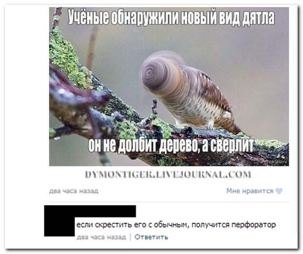 Смешные комментарии из социальных сетей 31.07.14  комментарии, прикол, соцсети, юмор