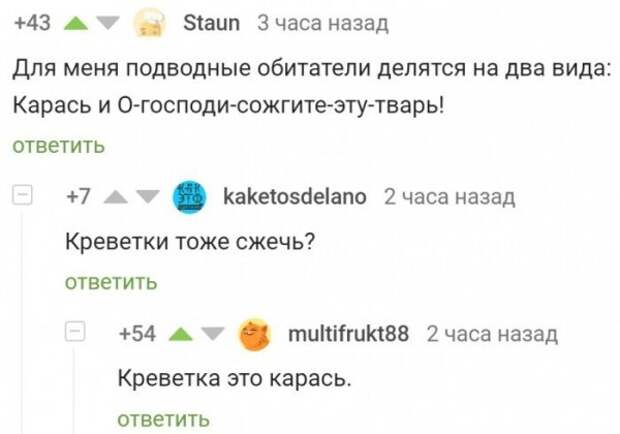 Смешные комментарии из соц.сетей