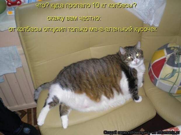 Мысли вслух :)