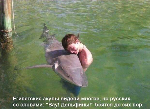 Приколюхи. Очень смешно!