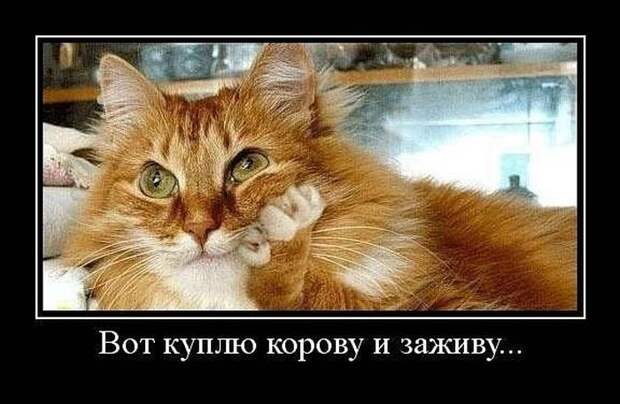 Демотиваторы (30 фото)