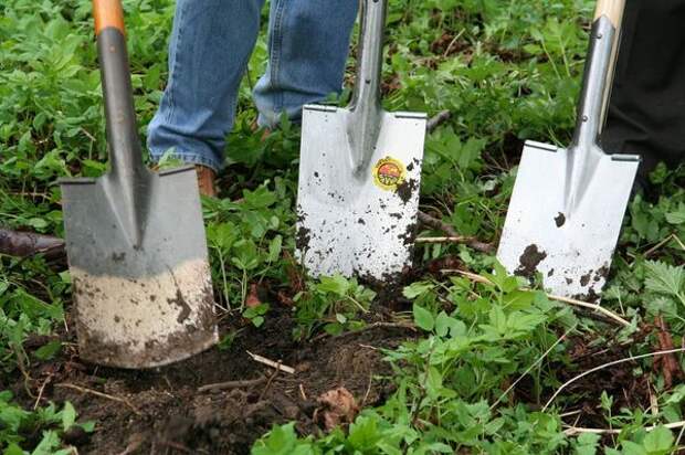 Копать или не копать, как именно обрабатывать почву - каждый огородник решает для себя