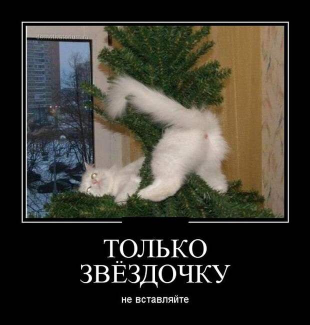 Демотиваторы демотиваторы