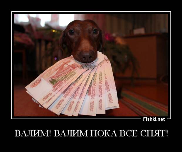 Демотиваторы Демотиваторы демотиваторы, прикол, смех, юмор