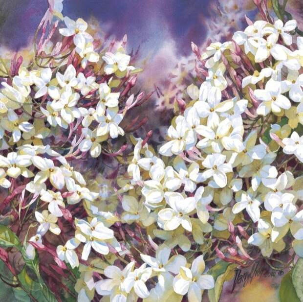 Цветы, акварель.Художник Darryl Trott
