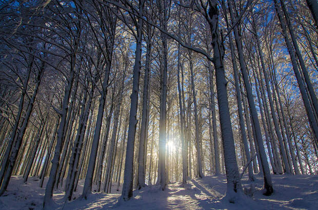Gorgeous Winter Landscapes 16 Великолепные снежные пейзажи