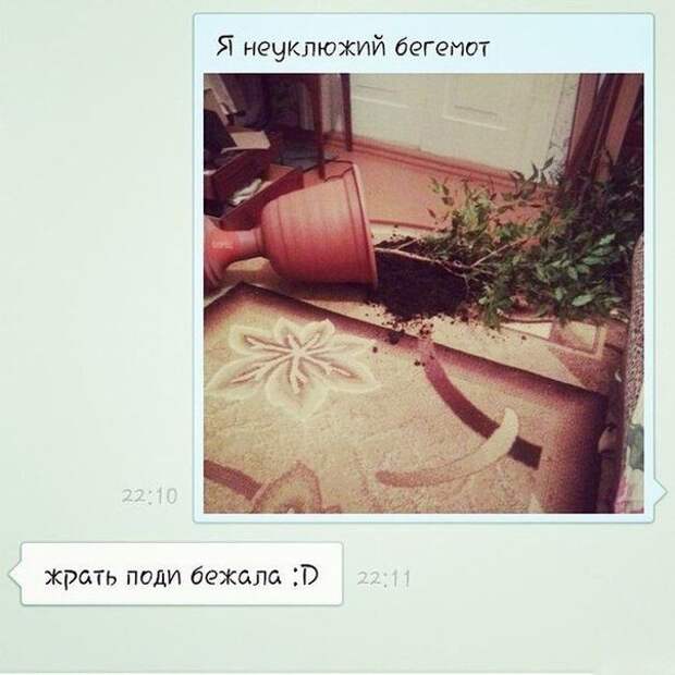 Отличная порция СМС-переписки