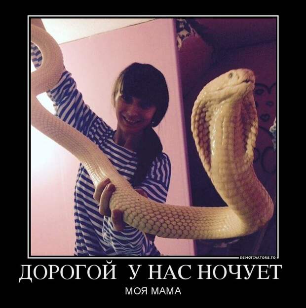 Подборка демотиваторов  демотиватор, юмор