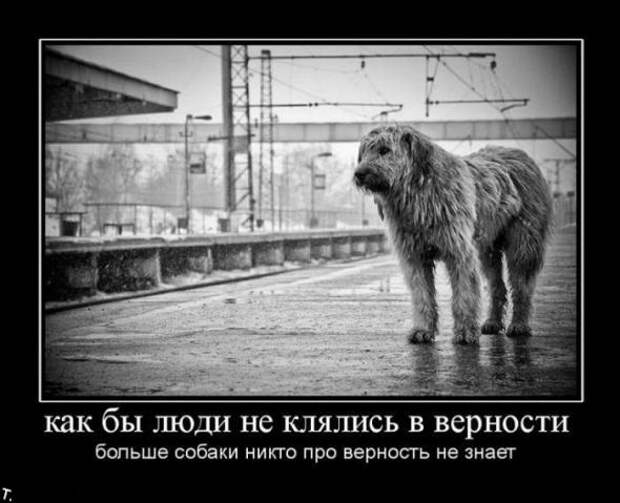 Демотиваторы 13.03.11