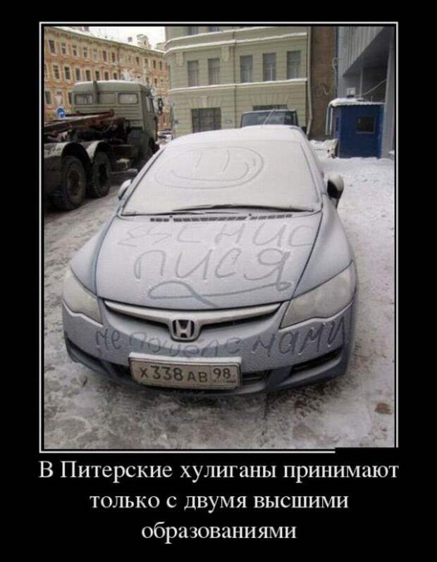 Демотиваторы картинки, прикольное