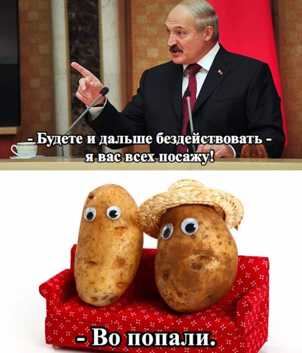 Подборка картинок (20 фото)