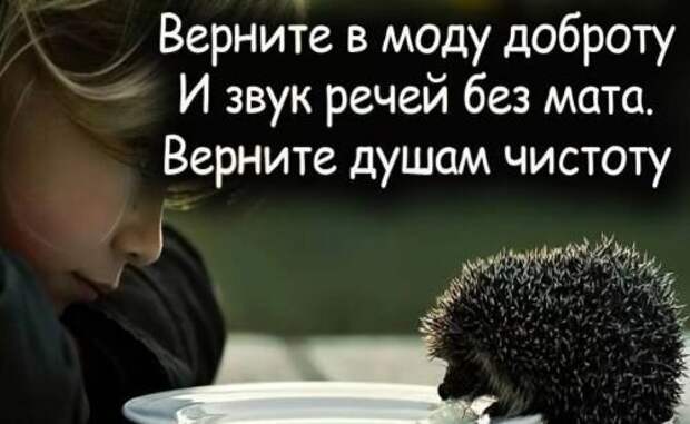 Почему мы перестали адекватно реагировать на зло, насилие, мерзость, жестокость и кощунство рядом с нами?