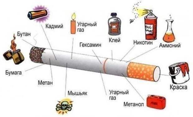 Прикольные картинки Прикольные картинки