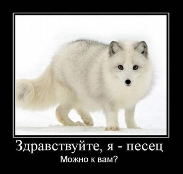 Демотиватоты, смешные фото и надписи, как всегда на сайте!