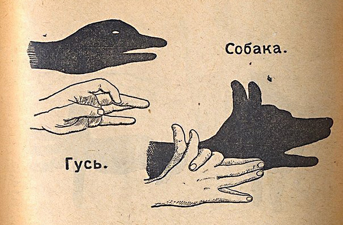 Театр теней: гусь и собака