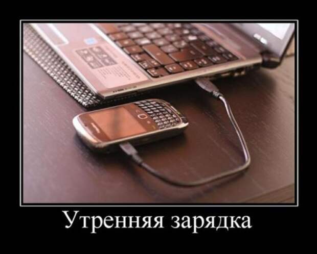 Демотиваторы злобные