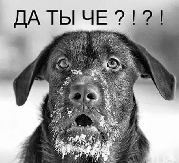 c0fec1bc107a0e25d4ffbbd2657_prev