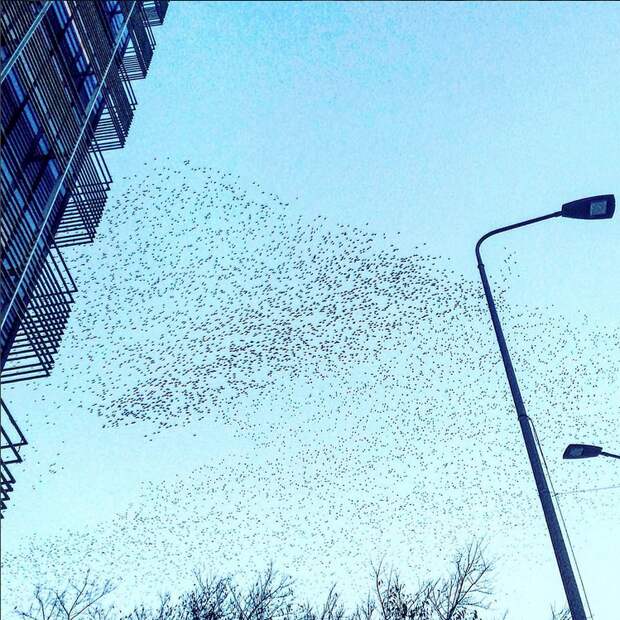 Фотопутешествие в Милан