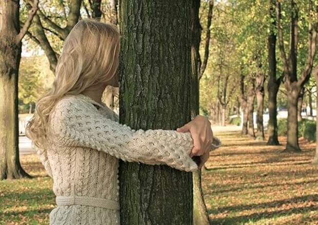 Какие деревья от чего лечат в народной медицине. Какие деревья от чего лечат в народной медицине.