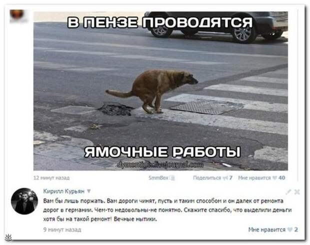 Весёлые надписи из соцсетей 0