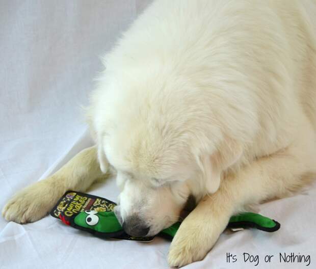 Great Pyrenees Bow Wow Toy