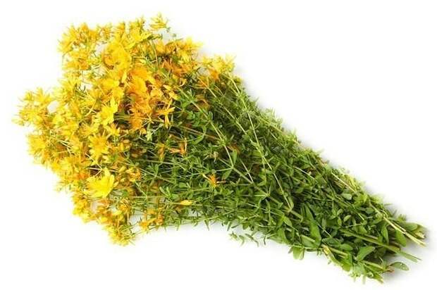 Целебный травяной отвар 2 (604x402, 113Kb)