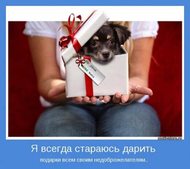 Мотиваторы, смотрим не выходя из себя.