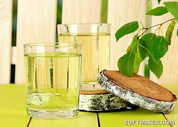 recept-berezovicy