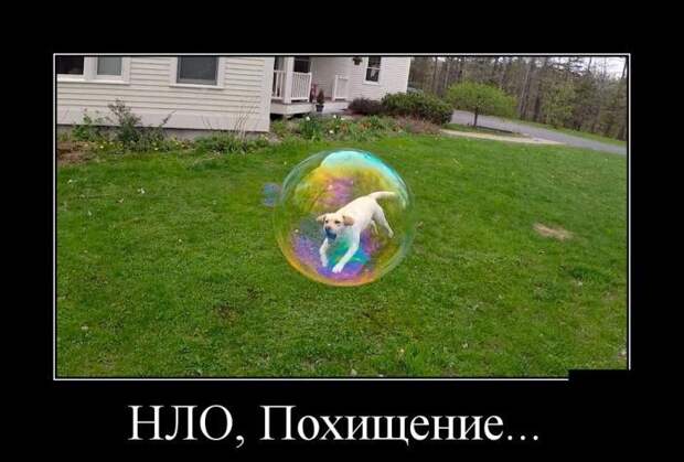Подборка демотиваторов демотиватор, юмор