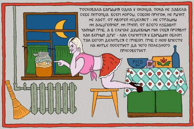 Первый дайджест февраля