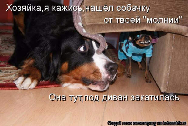1429823301_17 (700x469, 264Kb)