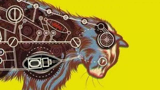 9. Кот-шпион ЦРУ интересное, коты, служба