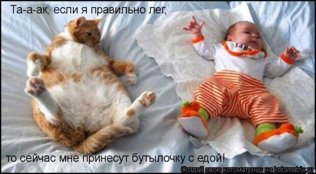 Подборка прикольных котоматриц