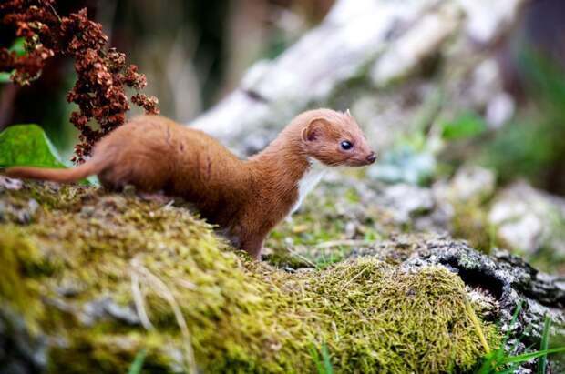 Фотографии Mark Bridger