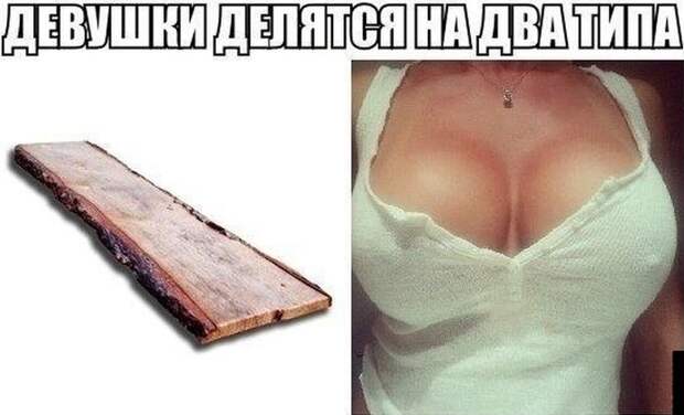 Фотоприколы кучей
