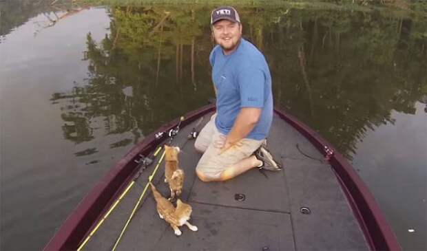 Пошли на рыбалку и выловили… двух котят