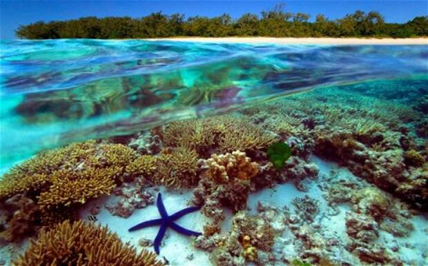 Риф Австралии