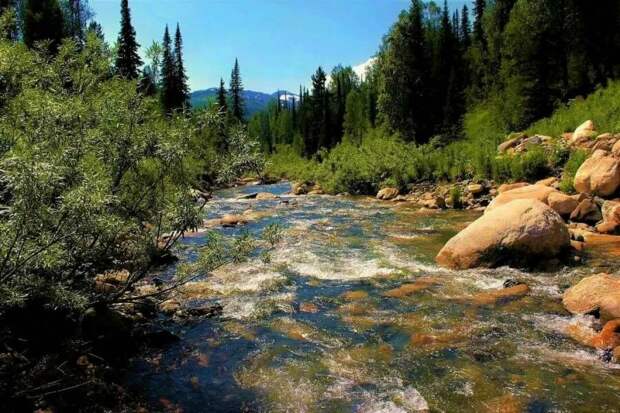 Река «Ночная бабочка»