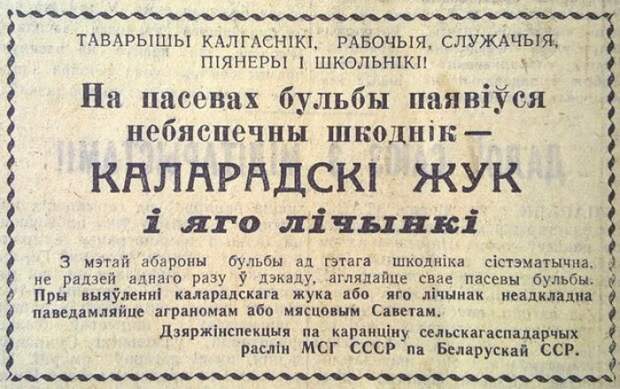 Забавные надписи и объявления Забавные надписи и объявления