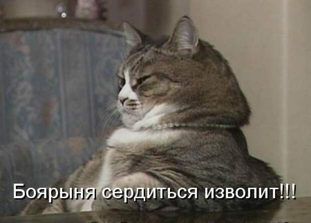 Кото матрица 7